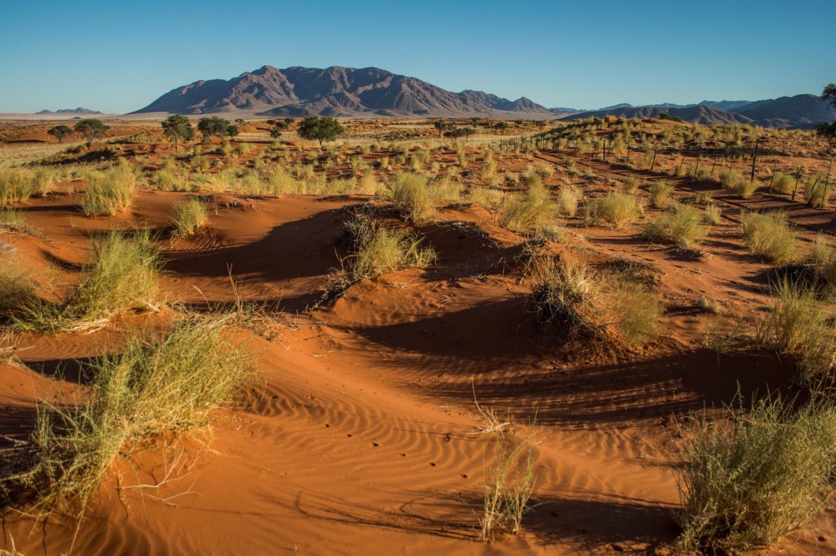 A picture taken of a desert