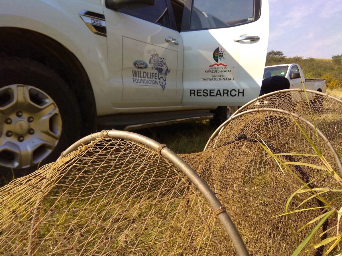 Two bakkies that belong to the University of Kwazulu-Natal research department